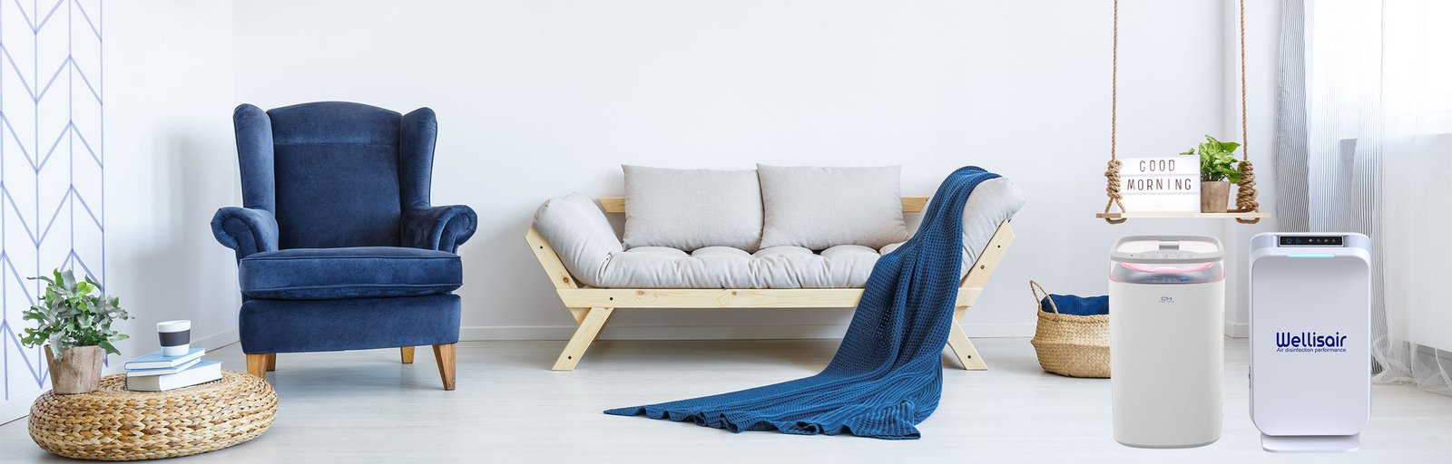 Air Purifiers and disifection